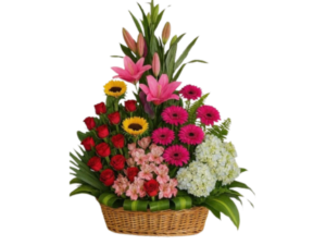 Home Mamá Lupita dflowers floreria